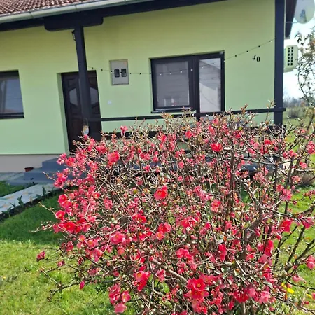 Apartment Bosiljak Kuca Za Odmor Bosanska Gradiska