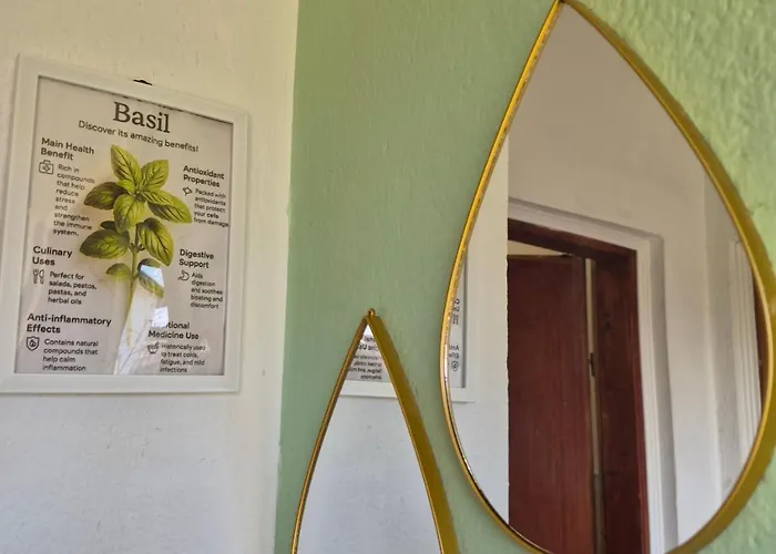 Bosiljak Kuca Za Odmor Апартаменты