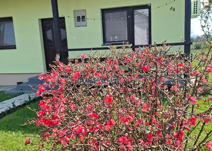 Апартаменты Bosiljak Kuca Za Odmor Градишка